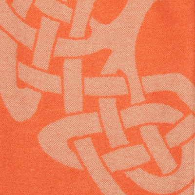 Tree of Life Apricot