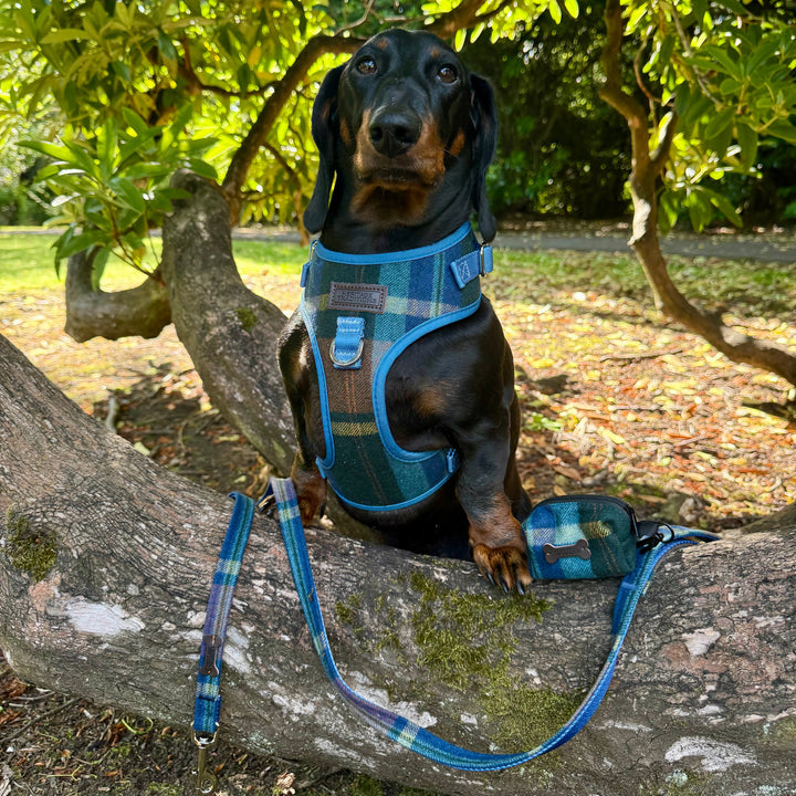 Heritage Hounds Tartan Poo Bag Holder