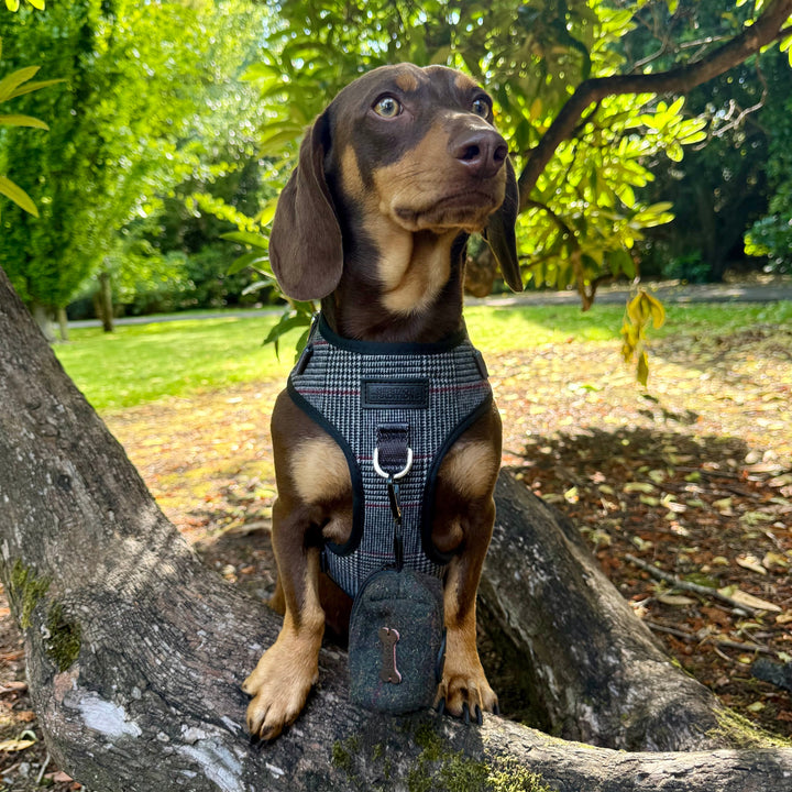 Heritage Hounds Tartan Poo Bag Holder