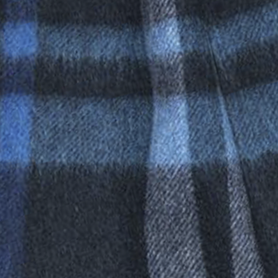 Navy Check